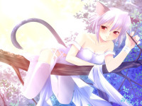 Neko_Girl_Wallpaper_006.jpg