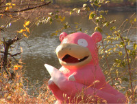 slowpoke01.jpg