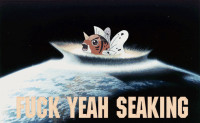 fuck-yeah-seaking.jpg