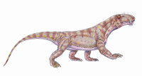 Biarmosuchus.jpg