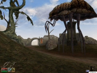 morrowind_051502_006.jpg