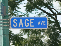 sage 1.jpg