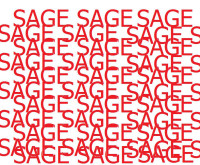 sage 9k.jpg