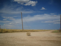 800px-Tumbleweed_rolling.jpg