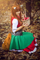 spice_and_wolf__holo_by_revien_fiennes-d4dzq4x.jpg