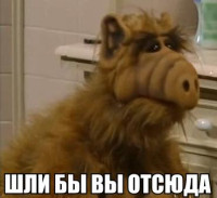 alf_go.jpeg