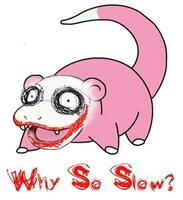 WhySoSlow.jpg