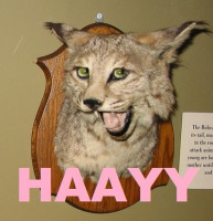 sassy-taxidermy.jpg