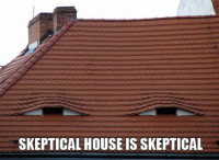 thumbs_sceptical_house_roof.jpg