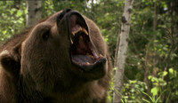 Grizzly-Rage_bear-roar.jpg