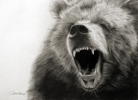 Grizzly_bear_ROAR_by_eidolic.jpg