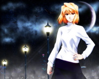 Shingetsutan-Tsukihime-23-1280x1024[1].jpg