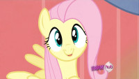 fluttershy smile crazy.jpg