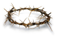 Crown-of-Thorns.jpg