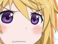 charlotte_dunois infinite_stratos.jpg