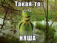 takaya-to-kermit.jpg