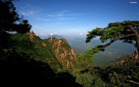 jungle-mountains-377-2560x1600.jpg