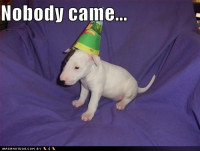 cute-puppy-pictures-nobody-came-birthday-party.jpg