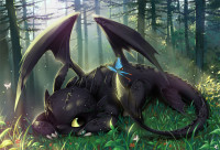 Toothless.full.942986[1].jpg