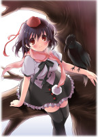 Gelbooru-672052-bird-black_hair-brown_eyes-crow-ha.jpg