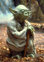 Yoda-(1).jpg