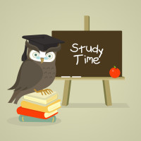 study-time-owl.jpg