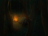 bonfire-in-the-forest.jpg