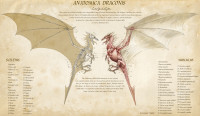 anatomica_draconis_by_katepfeilschiefter-d4i7aq5.jpg