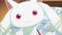 kyubey-staring.jpg