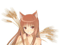 animuruspiceandwolf1024x768wallpaper013.jpeg