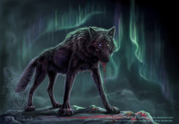 1255015311_darcia_from_wolf__s_rain_by_mysticwolfy.jpeg