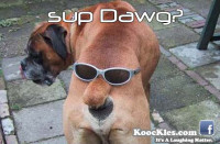 sup.dawg.jpg