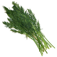 dill.jpg