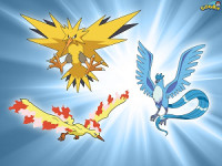 The-legendary-birds-articuno-zapdos-and-moltres-23.jpg