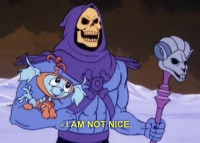 funny-cartoon-screencap-skeletor-not-nice.jpg