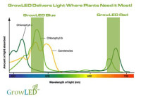 GrowLED_chart.jpg