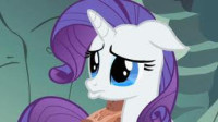 rarity.jpeg