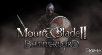 mount-and-blade-2-bannerlord-pc-cover.jpg