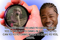 yo-dawg-yo-yos.jpg