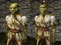 TES-3.Morrowind-Ork.jpg