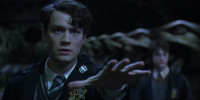 Tom_Riddle_Chamber_of_Secrets.jpg