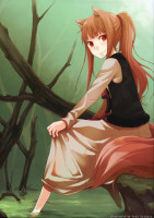 moe-57750-animal_ears-ayakura_juu-horo-spice_and_w.jpg