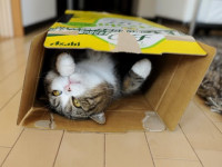 maru-beer-box.jpg