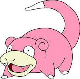 slowpoke.jpg