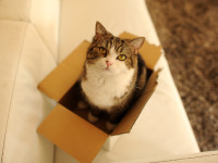 maru-box.jpg