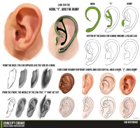 ear_tutorial_resource_by_conceptcookie-d5vts86.jpg