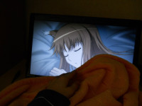 horo-sleeping.jpg