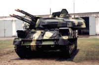 1279713167_shilka_7.jpg