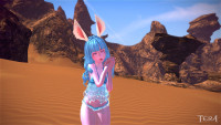 TERA_ScreenShot_20130816_182054.jpg