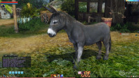 ArcheAge-screenshot-18.jpg